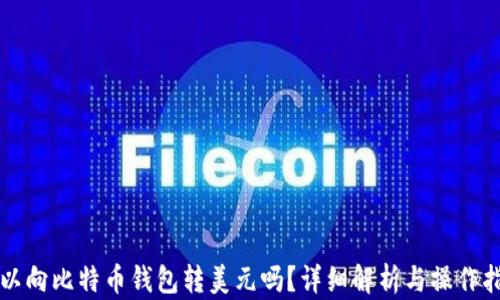 
可以向比特币钱包转美元吗？详细解析与操作指南