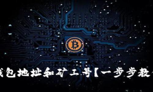 如何查看钱包地址和矿工号？一步步教你掌握技巧