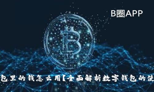 数字钱包里的钱怎么用？全面解析数字钱包的使用方式