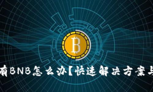 TP钱包没有BNB怎么办？快速解决方案与操作指南