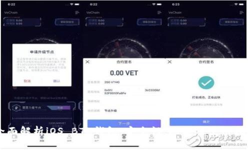 全面解析iOS BTC钱包：安全性、功能及使用指南