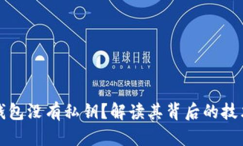 为什么比特派钱包没有私钥？解读其背后的技术原理与安全性
