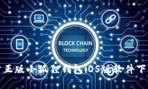 : 官方正版小狐狸钱包iOS版软件下载指南