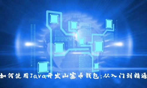 如何使用Java开发山寨币钱包：从入门到精通