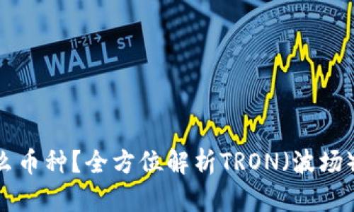 TRX是什么币种？全方位解析TRON（波场）及其应用