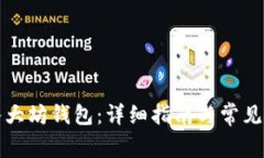 如何导入大坊钱包：详细指南与常见问题解答