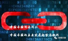 中国币圈何去何从中国币圈的未来发展趋势与挑
