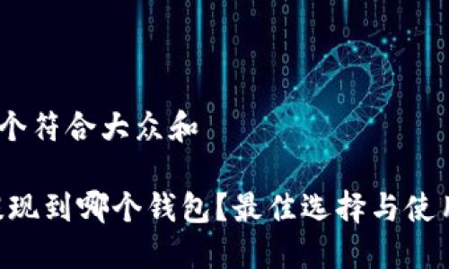 思考一个符合大众和  

 BCH提现到哪个钱包？最佳选择与使用指南 