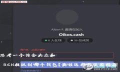 思考一个符合大众和   BCH提现到哪个钱包？最佳