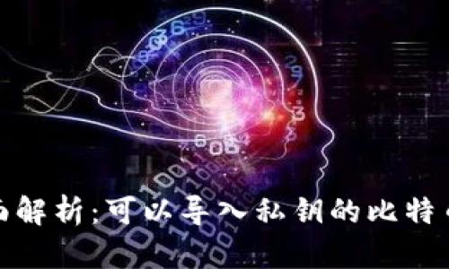 最全面解析：可以导入私钥的比特币钱包