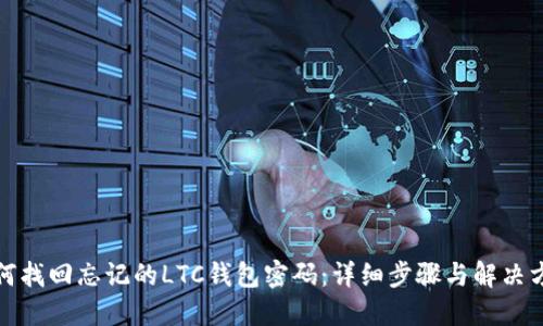 如何找回忘记的LTC钱包密码：详细步骤与解决方案