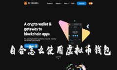 自合怎么使用虚拟币钱包