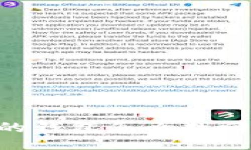 新比特币的钱包怎么找回：全面指南