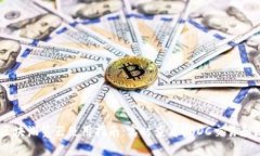 : USDC区块浏览器使用指南：实时查看USDC交易和区