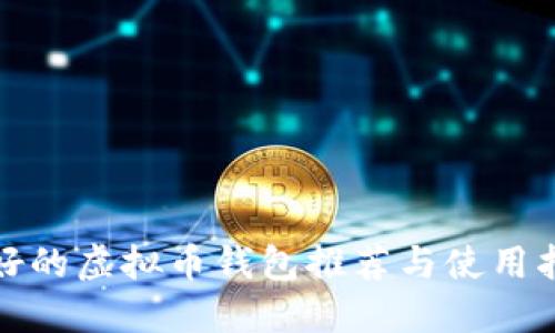 最好的虚拟币钱包推荐与使用指南