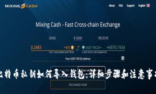 比特币私钥如何导入钱包：详细步骤和注意事项