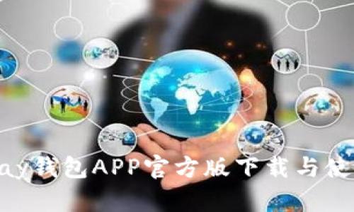 : OKPay钱包APP官方版下载与使用指南