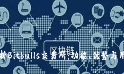 全面解析Bitbulls交易所：功能、优势与用户指南