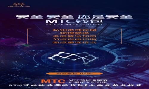 BTM可以放在哪些钱包？全面分析与推荐