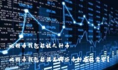 比特币钱包能放几种币比特币钱包能满足哪些币