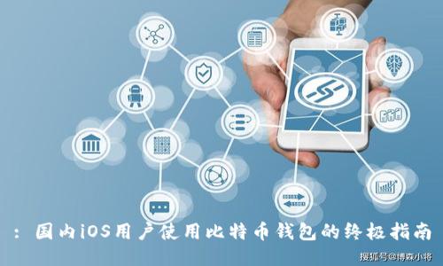 : 国内iOS用户使用比特币钱包的终极指南