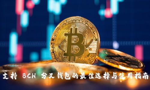 支持 BCH 分叉钱包的最佳选择与使用指南