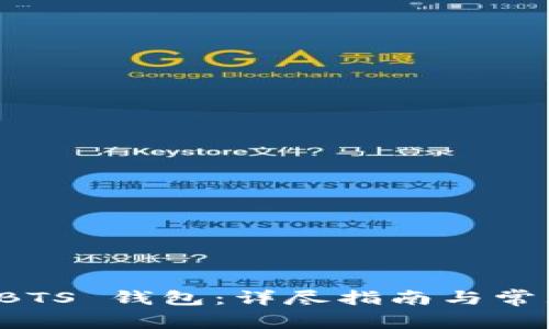如何注册 BTS 钱包：详尽指南与常见问题解答