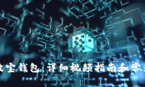 如何激活波宝钱包：详细视频指南和常见问题解答