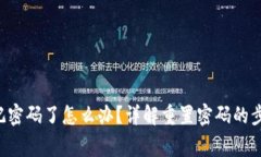 Topay钱包忘记密码了怎么办？详解重置密码的步骤