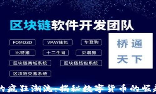 
比特币的疯狂潮流：揭秘数字货币的崛起与未来
