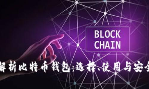 全面解析比特币钱包：选择、使用与安全指南
