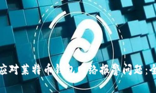 : 如何应对莱特币钱包网络报警问题：全面指南