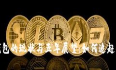 狗狗币钱包的现状与五年展望：如何追赶时代步