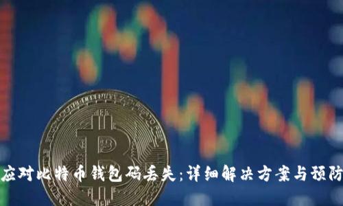 如何应对比特币钱包码丢失：详细解决方案与预防措施
