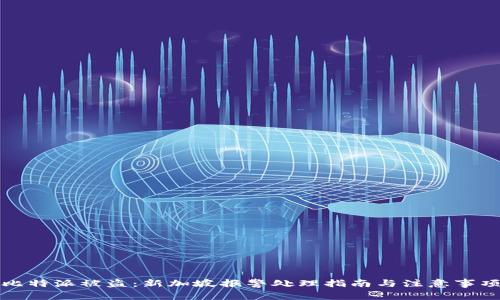 比特派被盗：新加坡报警处理指南与注意事项