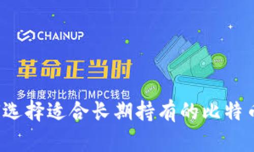  如何选择适合长期持有的比特币钱包