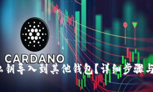  如何将私钥导入到其他钱包？详细步骤与注意事项