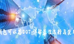 什么钱包可以存DOT：详解最佳选择与使用建议