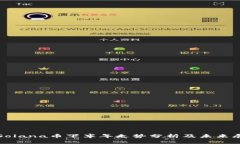 : Solana币下半年走势分析及未来展望