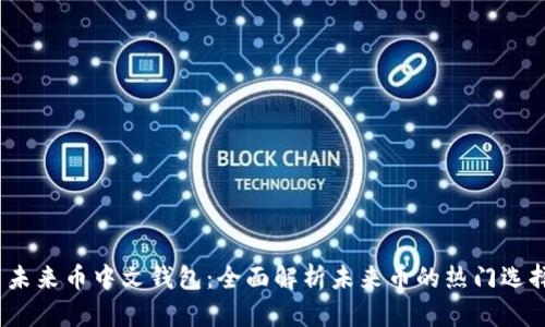  未来币中文钱包：全面解析未来币的热门选择
