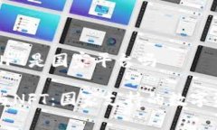 元宇宙NFT是国家平台吗元宇宙与NFT：国家支持的