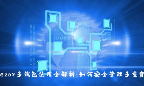 Trezor多钱包使用全解析：如何安全管理多重资产
