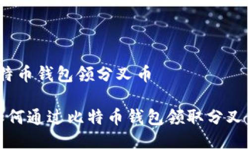 比特币钱包领分叉币

 如何通过比特币钱包领取分叉币？