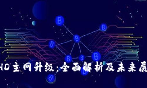 BHD主网升级：全面解析及未来展望
