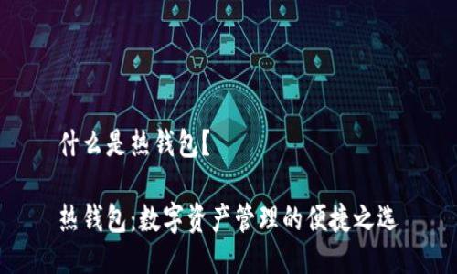什么是热钱包？

热钱包：数字资产管理的便捷之选