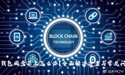 比特币钱包同步不上怎么办？全面解决方案与常见问题解析