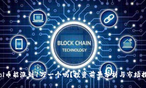  Sol币能涨到1万一个吗？投资前景分析与市场探讨