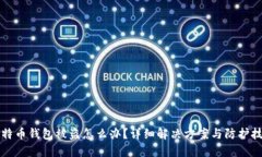 莱特币钱包被盗怎么办？详细解决方案与防护技