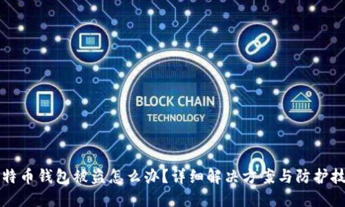 莱特币钱包被盗怎么办？详细解决方案与防护技巧