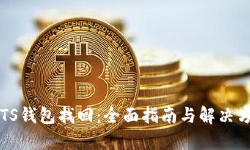  BTS钱包找回：全面指南与解决方案